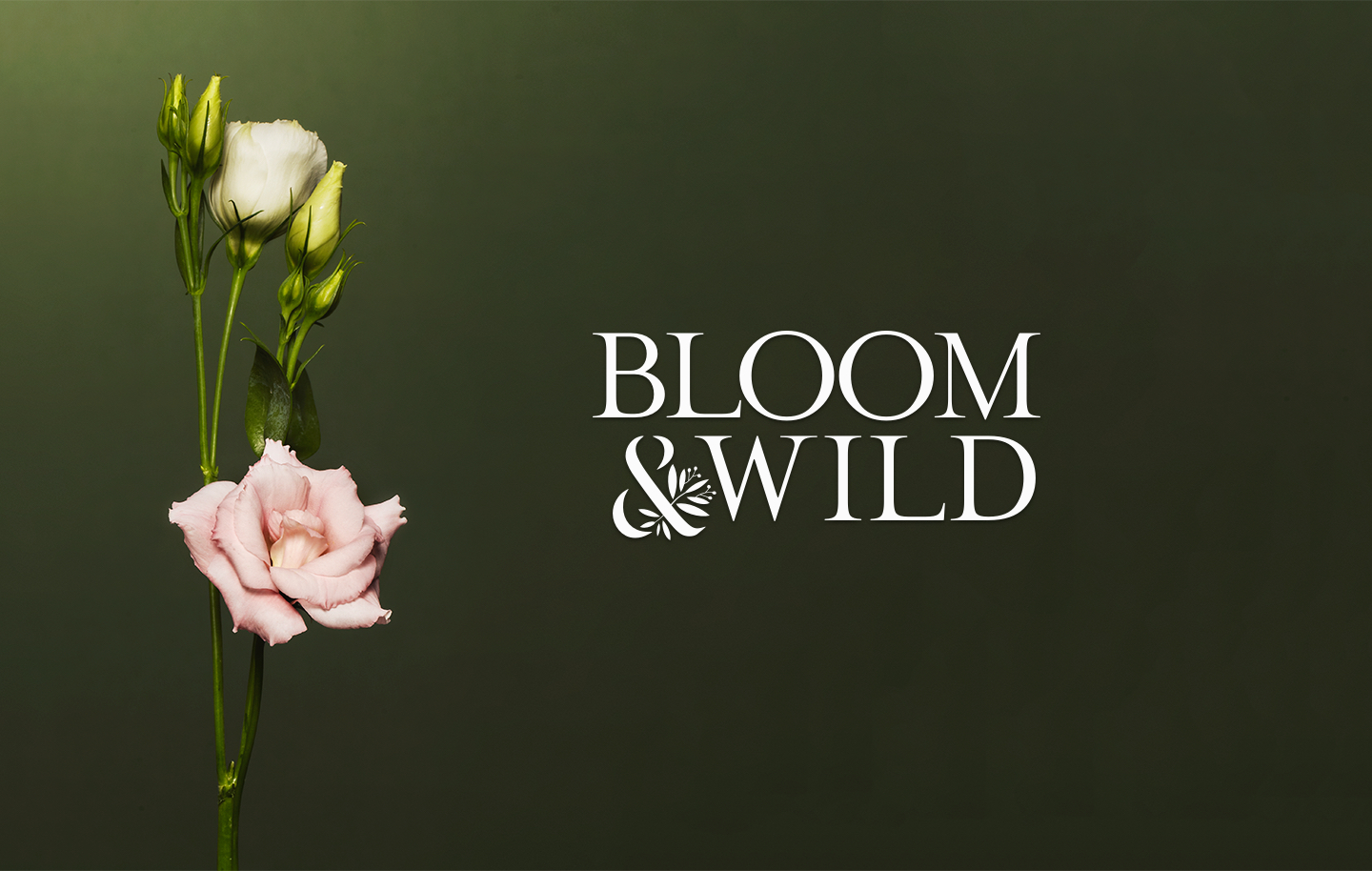 Bloom & Wild